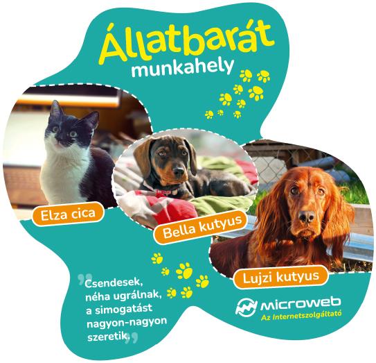 Állatbarát munkahely