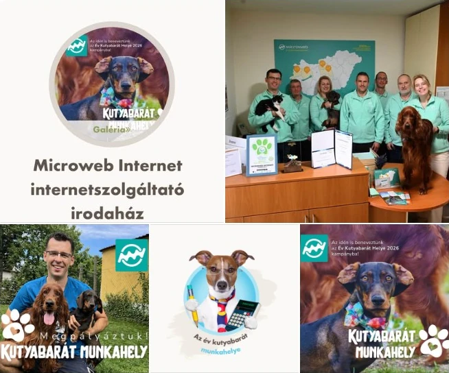 The Microweb team with dogs in the office, next to the Dog-Friendly Workplace campaign posters